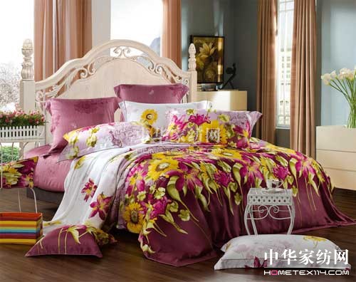 ܛ�b�c�Ҽ��OӋՓ�����ɼҼ�չ���c(di��n)