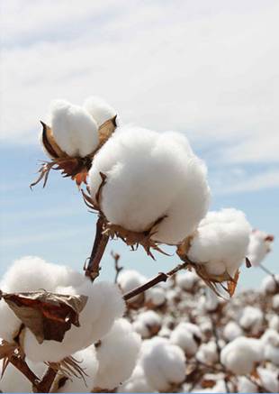 �W�ɼҼ������������ۼ���һ�ӵğ��