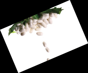 �Q�z���q�r(ji��)������](m��i)�ך���