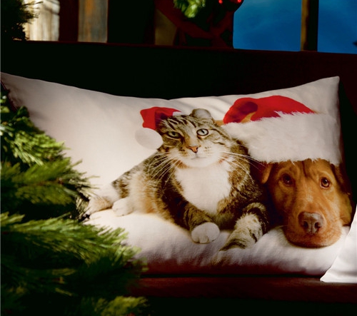 ���r(sh��)�мҼ�Ʒ��ʥ�Q��Ԫ�ؿ��|�������C����