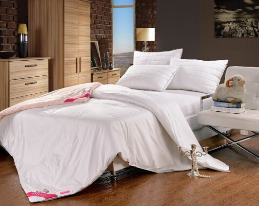 ʥ���R�������(y��ng)����о��ů