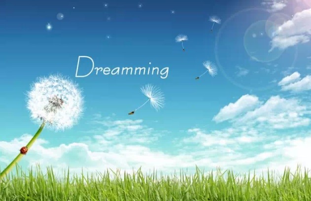 ���_�Ҽ�2015Ʒ���ƽ��(hu�� )�A�M(m��n)��Ļ