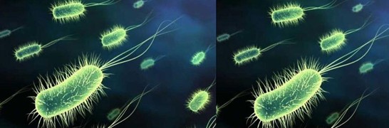 ���_�m�Ҽ�������˯��������˯��������