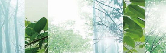 ���_�m���C�Ҽ���߀ԭ���Rԭ���B(t��i)ƽ��h(hu��n)��