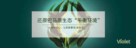 ����˯����ه(l��i)��Violet���C�Ҽ�