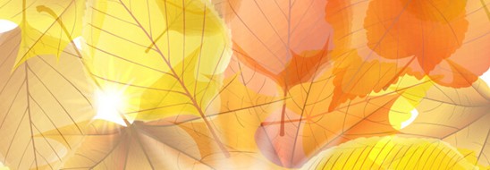 ����˯����ه(l��i)��Violet���C�Ҽ�