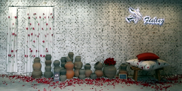 ���`����Ҋ(ji��n)����----FEELINGƷ�ưl(f��)����(hu�� )�ڱ���������Hˇ�g(sh��)�@�^�e��