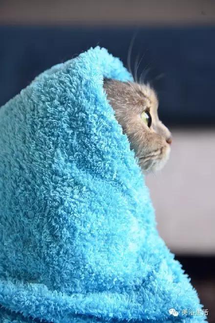 ��ԡ���ë�����Ԍ�����ë��Ҳ�����v����