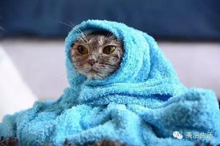 ��ԡ���ë�����Ԍ�����ë��Ҳ�����v����