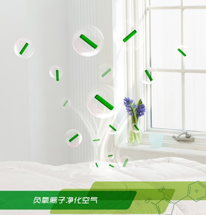 ���_�m�Ҽ���ɭ��������˯�ߡ����C���Сɭ��