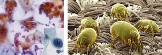 �ܽ^���f(w��n)���x(ch��ng)�����x���_�m���C�Ҽ�