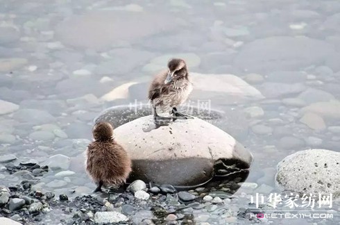 ������27�f(w��n)�I(m��i)�²���Ҽ�"����"��"����"��