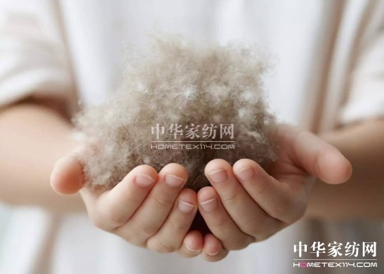 ������27�f(w��n)�I(m��i)�²���Ҽ�"����"��"����"��