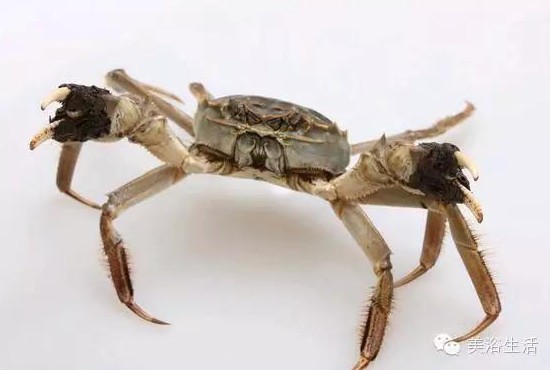 ��ԡ����Â���Ĵ��lз��з�S��ʳ��зȯ������з��������ë����