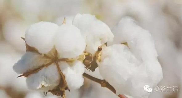 ��ԡ���Փһ�lë�����������B��