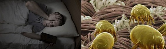 ���z�R�����_(k��i)�����B(t��i)���ܼҾ�4.0�r(sh��)��