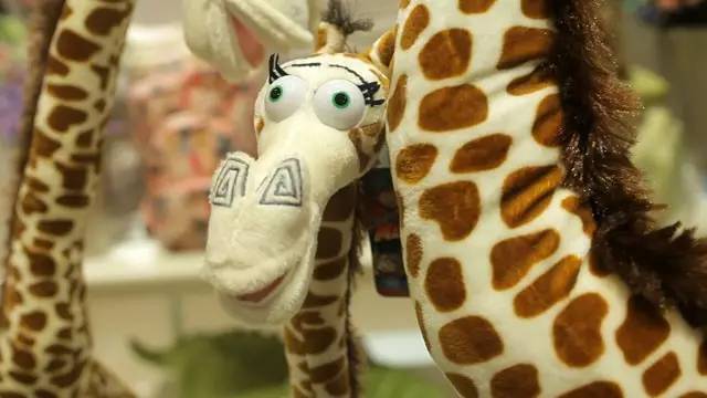 �L(f��ng)�Һ��(y��ng)�ĄPʢ�Ҿ������^�µ��_(k��i)�I(y��)���Ȳ�������ȥ��