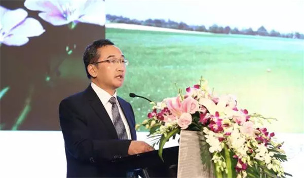 �����׃��������(chu��ng  )������δ��(l��i)��2017�Ї�������(hu�� )���Ϻ����_(k��i)