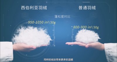 ˮ�ǼҼ����������Z�q��--��(l��i)�ԘO���؅^�ı�ů����