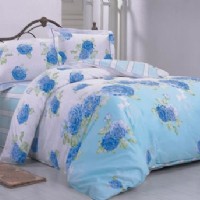 ���z �O������ �z�z���Z(y��)