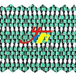 �M(j��n)���D�ξW(w��ng)��