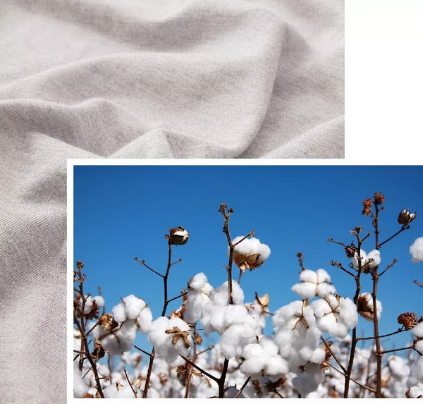 COMOLIVING�Ƴ��~������˯���������ߵ�����ęn