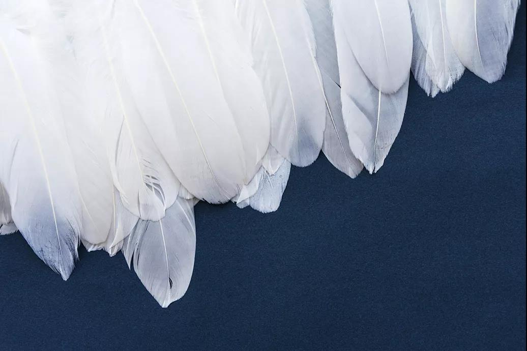 ����Ʒ�Z�q�����˜ʳ��_���쿴�����I(m��i)�ı����_���˛](m��i)��