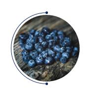 ��̫�(y��ng)�Ƴ���Ʒ--2020֮��(j��ng)�䡰�{������ϵ��