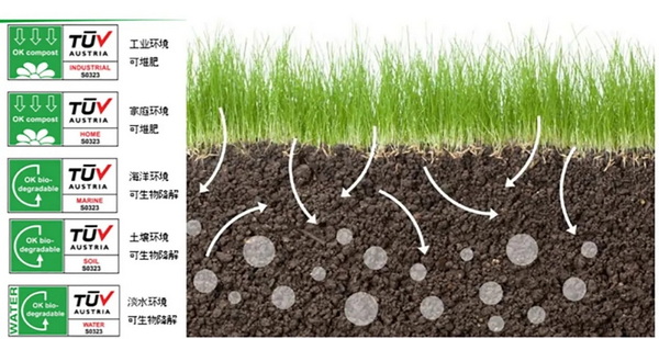 �۽��ɳ��m�l(f��)չ���c(di��n)���ṩ��S��Q�������m�����Є�(d��ng)��