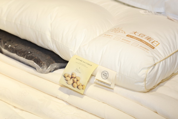 ���������|�����W(xu��)�����칤ˇ�͹żҼ��������u��ӛ����&�����ס�ϵ�аl(f��)����(hu�� )��Cieltown�Ġ�С�2022�ﶬӆ؛��(hu�� )�����u�e��